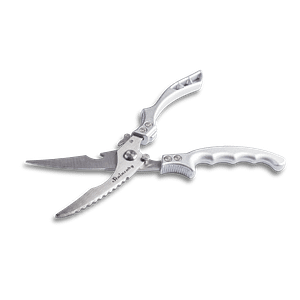 4 Stainzury Bone