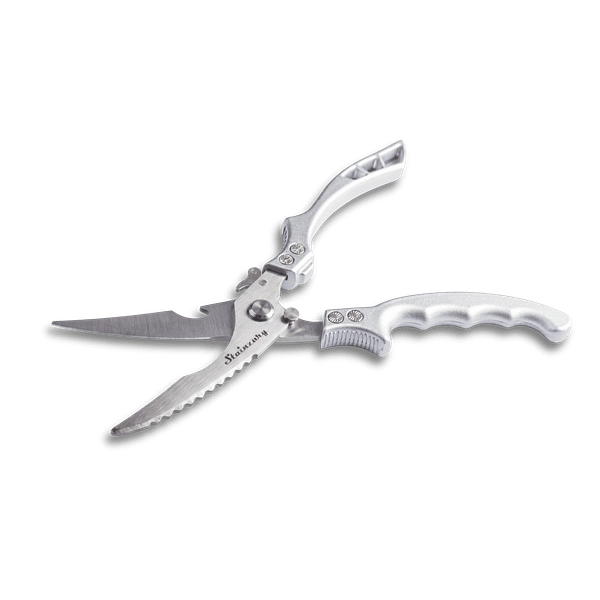 4 Stainzury Bone